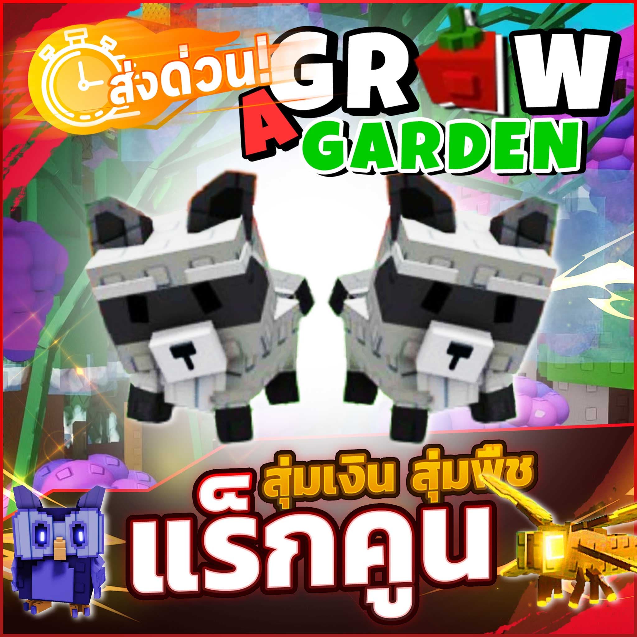 ไก่ผัก - แร็กคูน