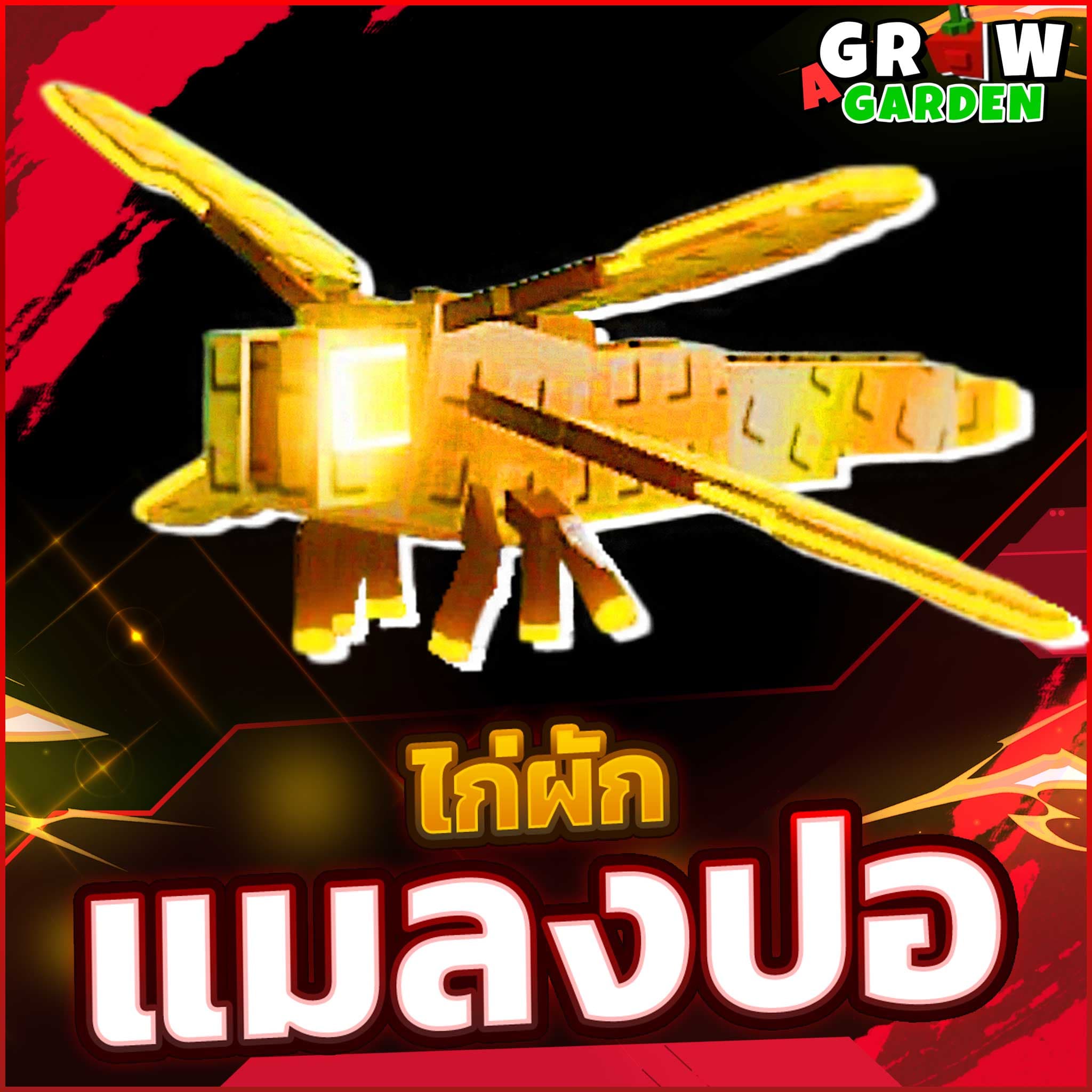 เเมงปอทอง